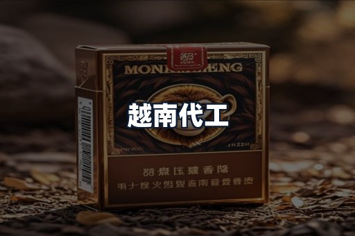 越南代工
